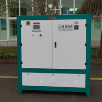 Mini-générateur de vapeur électrique à induction horizontale automatique 500-1000 kg, haute efficacité, faible entretien