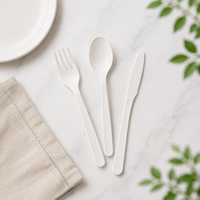 Ensemble de couverts en CPLA de qualité commerciale durable, compostables, fourchette, couteau, cuillère, certifiés BPI pour la restauration