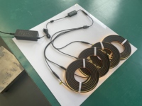 Kit de 4 Luminaires Muraux à Lamelles en Cuivre IP65 avec Télécommande, Néon LED Flexible 2,4m pour Panneaux en Bois/Acoustiques, Blanc Chaud Ra90, Prêt à l'emploi