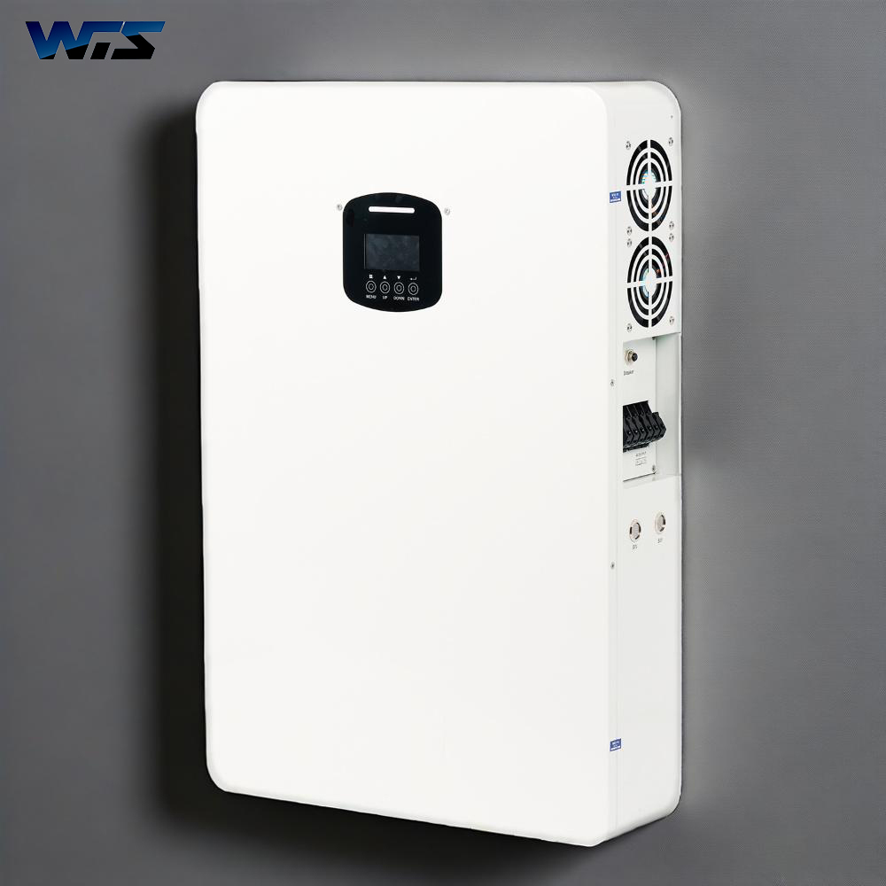 10KWh 5KWh 48V 200Ah 100Ah All in One Inverter and Lifepo4 Battery 220V/230V AC Coupled Battery for Solar Home Energy Stoarage · image 3