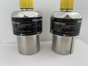 Medidor de Flujo Ultrasónico E+H Endress+Hauser, Rango de Medición: 0.3-10 m/s, Compra por Intermedio de Terceros - Product Image 6
