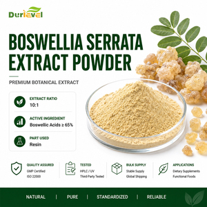 Résine de gomme de Boswellia, Poudre d'extrait de Boswellia Serrata pour les marques de compléments bien-être, Fournisseur en vrac d'ingrédients à base de plantes - Product Image 1