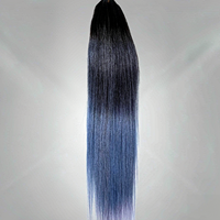 Extensions de cheveux en plumes D.S Hair 18-26 pouces, 100% cheveux humains, haute qualité, pour les magasins de produits de beauté