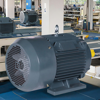 YE3 Moteur asynchrone triphasé 11/15/18 kw 22/30kw Horizontal Vertical 2 pôles 4 pôles 6 pôles étanche 22/30kw triphasé