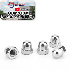 Metal Acorn Nuts: Hot Selling DIN 1587 Steel Hex Head Dome Cover Cap Nuts