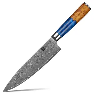 Hot Sale Customized Kitchen Damast Knife Set Blue Resin Handle Damascus Vg10 Chef Knife