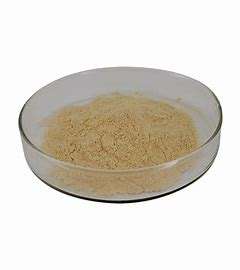 Suplemen makanan bubuk halus kuning coklat alami bubuk Ekstrak kacang kedelai 20% <span class=keywords><strong>40</strong></span>% isoflavon - Product Image 3