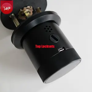 Top-Q8 Round Ball Home Electronic Tuya Keyless Fingerprint Round High Quality Wifi Smart Lock For Glass Door