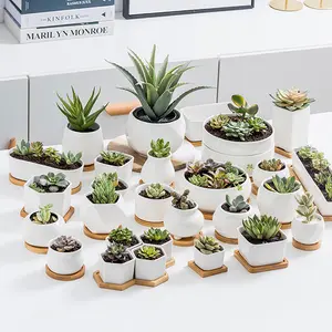 Dropshipping Geometric White Succulent Planter Pots Ceramic Plant Container with Bamboo Saucers for Cactus Herbs