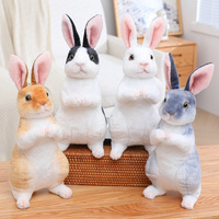 Adorable Peluche Lapin de Dessin Animé en Forme de Poupée avec Housse en Peluche, Rembourrage en Coton PP, Anti-Stress, Doublure en Maille Lavée