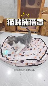 ของเล่นแมวแบบสองชั้น ของเล่นสัตว์เลี้ยงไฟฟ้า ช่วยให้ความบันเทิงด้วยตัวเอง บรรเทาความเครียด ของเล่นแมว ลูกแมว สุนัข สัตว์เลี้ยง - Product Image 6