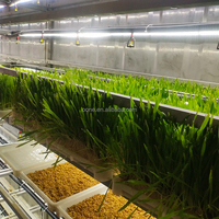 Conteneur hydroponique commercial pour la culture d'herbe d'orge destinée à l'alimentation du bétail aux États-Unis et en Australie