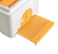 Mini boîte en mousse de ruche d'accouplement de reine à une couche nouvelle condition Mini boîtes d'accouplement d'abeilles pour la ruche d'abeilles de reine de miel