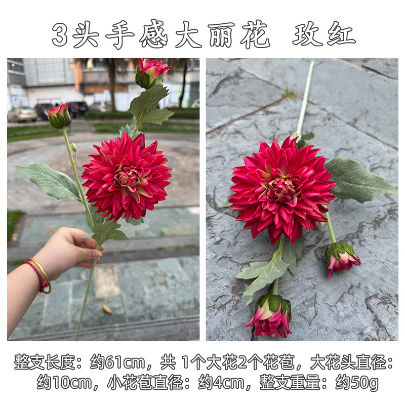 Rose red