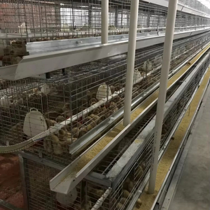 20 Năm Trung Quốc Cung Cấp H Loại Pin Gà Thịt Lồng GÀ ĐẺ TRỨNG 5 Tầng Lớp Lồng Gà Để Bán - Product Image 1