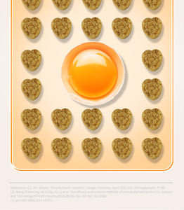 Suplemento vitamínico orgánico en polvo de lecitina para mascotas, seguro y eficaz para todas las edades y razas de mascotas, gatos y perros - Product Image 5