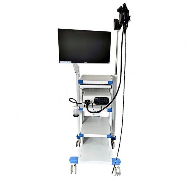 SY-P033 Hospital Digital Vet Video Endoscope Medical Big Animal Gastroscope with Monitor for Vet Clinic