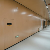 Tablero de pared de alto tráfico de panal de aluminio con superficie de acero respetuoso con el medio ambiente para particiones de oficina funcionales