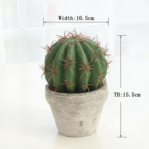หม้อทรงกระบองเพชรผ้าไหมเทียม,การส่งออกสำหรับ Euphorbia Macetas - Product Image 3