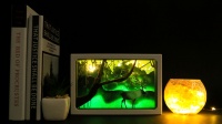 Boîte à lumière en papier avec forêt et wapiti, peintures lumineuses, lanterne en papier, modèle créatif 3D, cadeau familiale