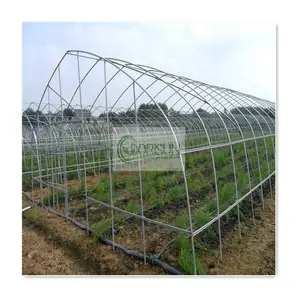 Low Cost Self Heating Tropical Agricral Garden Tunnel Climate Controlled Seeding Table Green House
