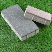 Pavage de briques d'argile autoclavées pavés de béton en céramique perméable à l'eau pour briques de fonction ignifuges de trottoir de parc