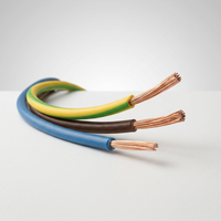 Kabel Tembaga Murni 2/3/4/5/6/7/8/10 Inti Berisolasi PVC untuk Instalasi & Konstruksi