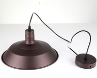 Lustre de restaurant style loft, lampe suspendue créative rétro industrielle, lampe suspendue en fer pour bar, bureau, lampe suspendue en forme de wok