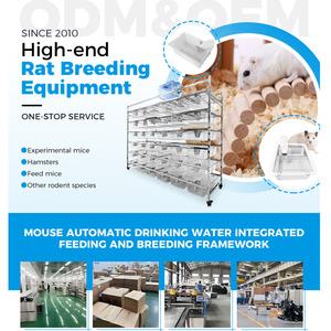 Rack d'élevage de souris et de rats en acier inoxydable avec boîte en plastique PP Cage pour rongeurs Vannes d'élevage de souris Bec pour petits animaux Vente en gros - Product Image 5