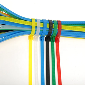 علامة سهلة من المصنع ربطة عنق بسحاب بلاستيكية 3 * المورد في الصين - Product Image 6