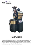 6kg haricot Tostadora de café Europa S 5kg 3kg 20kg torréfacteur de café industriel 15kg commercial 60 kg