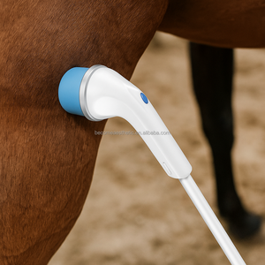 Ev kullanımı makine Pet SWEED-ESWT masaj sertlik kolaylaştırır ve şifa ağrı kesici at tedavisi teşvik - Product Image 3