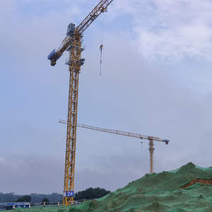 Grúa Torre de Plataforma Plana Dahan Qtz160-7013-10t en Oferta, Capacidad de Elevación de 10 Toneladas, Momento de Elevación de 160t. M Span 70m Altura Máxima 200m Precio de Fábrica - Product Image 3