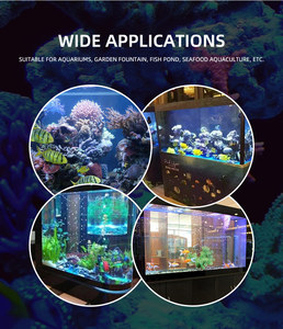 <span class=keywords><strong>Precio</strong></span> Bajo 50 GPH 3W mini bomba <span class=keywords><strong>de</strong></span> <span class=keywords><strong>agua</strong></span> sumergible con luz led para fuente jardín patio estanque - Product Image 6