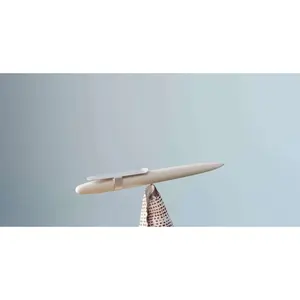 Penna con Gusci Riciclati DS5E03 Gadget Ecologici - Product Image 3