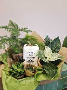 Kit Completo de Fertilizante Orgánico para Plantas, Nutrición Estilo Campestre para Bonsáis, Cuidado de Plantas de Interior y <span class=keywords><strong>Exterior</strong></span> en Casa o Jardín - Product Image 4