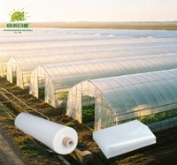 Film de serre 100 microns pour pépinière, couverture plastique transparente anti-buée pour favoriser la croissance saine des plantes