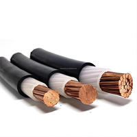 Cable Eléctrico de Alta Tensión de Cobre de un Solo Núcleo 1/0 2/0 3/0 4/0 THHN THWN XHHW THW 750mcm XLPE PVC 16A 30A para Estación de Energía