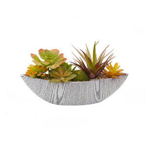 Tavola di decorazione Bonsai Premium con plastica succulenta Aloe misto <span class=keywords><strong>piante</strong></span> verdi artificiali succulente e <span class=keywords><strong>piante</strong></span> di Aloe - Product Image 2