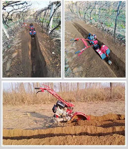 Meilleure vente nouvelle arrivée mini motoculteur agriculture mini motoculteur - Product Image 6