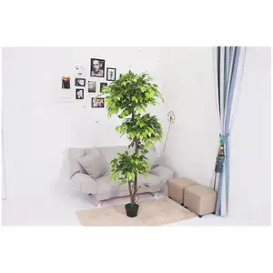 Искусственные Растения Дерево Белый Имитация с вазой Oem/Odm в горшках высокое качество вишневый цвет дома искусственное дерево Frangipani