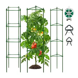 Hot Sale Tomato Cage Premium Tomato Plant Stakes Support Cages Trellis Garden Pots Vertical Climbing Support Trellis