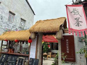 <strong>Thatch</strong> - Product Image 6