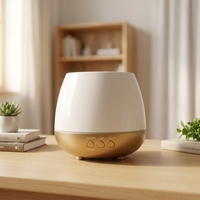 Diffuseur d'huiles essentielles à ultrasons, brume froide, purificateur d'air, diffuseur d'arômes pour l'aromathérapie, support OEM et ODM, diffuseur de parfum
