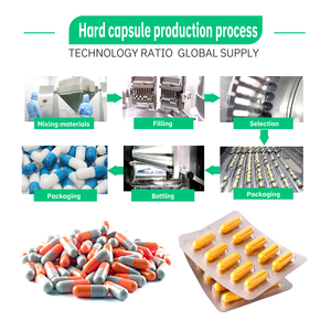 Capsules de complément alimentaire à base de plantes naturelles fabriquées en Chine pour la santé et le bien-être avec des ingrédients botaniques puissants - Product Image 6