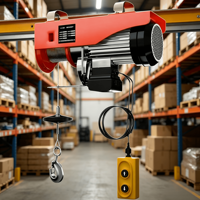 Polipasto Eléctrico Pequeño con Carro 500kg 1000kg 220v, Mini Polipasto Eléctrico Portátil con Control Remoto para Uso en Garaje