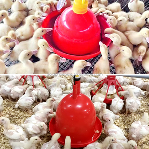 Abreuvoirs automatiques pour volailles de type cloche, de grande taille, pour poulets de chair, canards et oies - Product Image 6