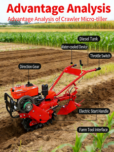 Landwirtschaftliche Benzin-Pflugmaschine für Landwirte / <span class=keywords><strong>Mini</strong></span>-Bodenfräse mit Dieselmotor und Kultivator - Product Image 3