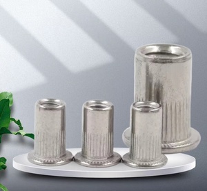 Rivets tubulaires creux à tête plate Rivets ronds semi-creux standard ISO Fabricant <span class=keywords><strong>Rivet</strong></span> creux en acier inoxydable 304 - Product Image 6