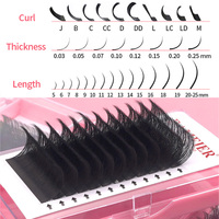 Échantillons Gratuits Volume Lashes Russian Easy Fan Blooming Lashes Extensions de Cils